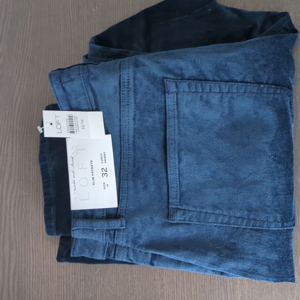BNWT Loft velvet skinny pants